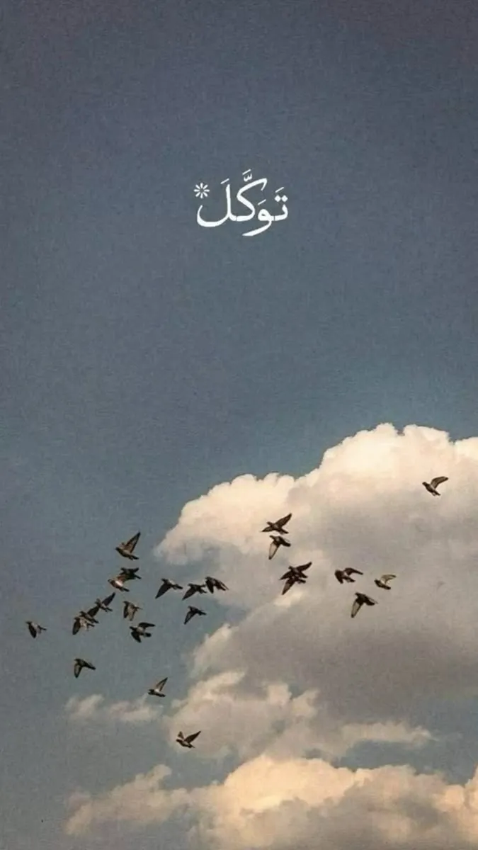 تَوَكَّل — birds over clouds